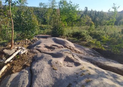 Natureza é arte